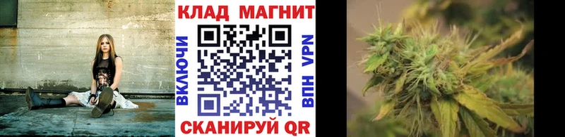 Где найти наркотики Жуковский Alpha PVP  LSD-25  Конопля  Гашиш 